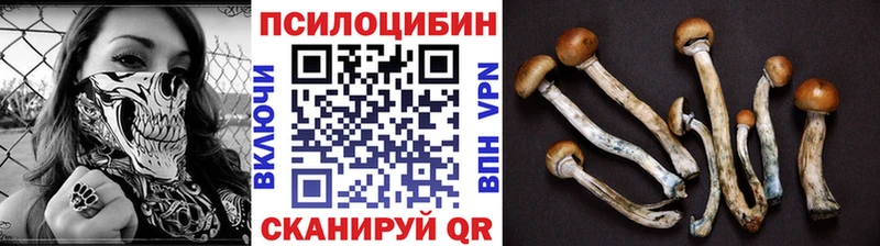 Псилоцибиновые грибы мухоморы  цена   Шацк 